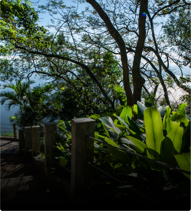 COMO PAGAR MAIS BARATO NO PARQUE BONDINHO PÃO DE AÇÚCAR?