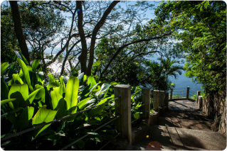 TUDO QUE VOCÊ PRECISA SABER ANTES DE IR AO PARQUE BONDINHO: PARTE I